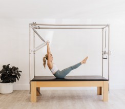 APA Career Connect - APPI Matwork Level 1-The Foundation & APPI Equipment Level 1 - Lumbo Pelvic Stabilisation